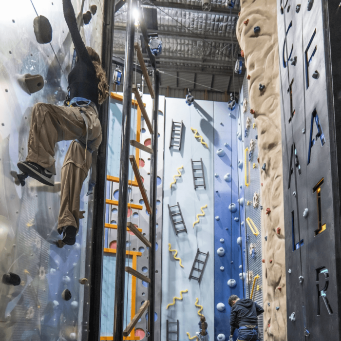 CleanShot-2024-08-17-at-13.44.20-4-1-6-7-aspect-ratio-1000-1000-700x700