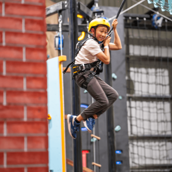 Social-Fair-High-Ropes-Course-5-700x700